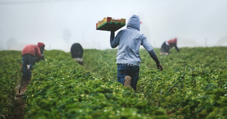 Bridging visa work rights: what employers need to check