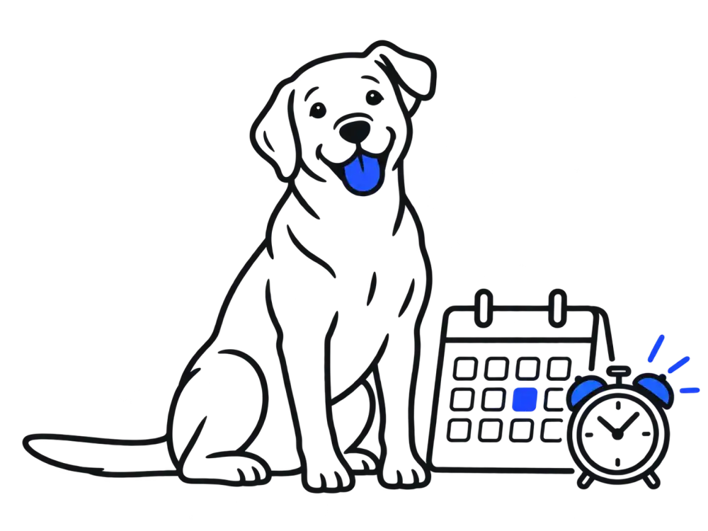 Apollo beside a calendar and alarm clock